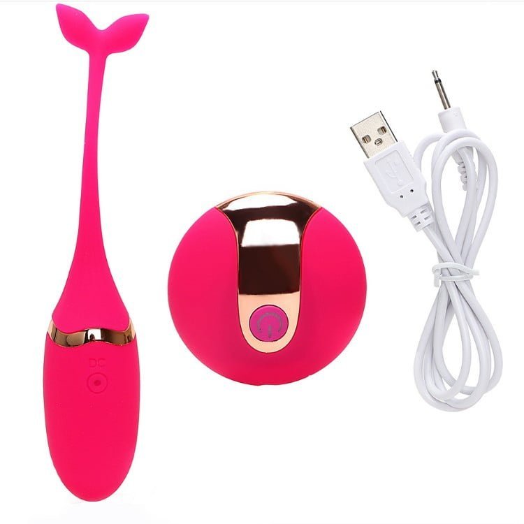 Remote Controlled Vibrator